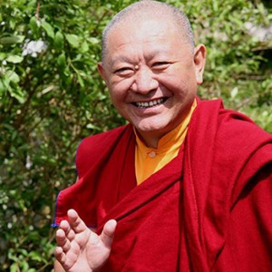 Visit of Ringu Tulku Rinpoche June 2016