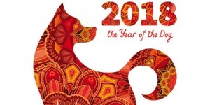 year of the dog